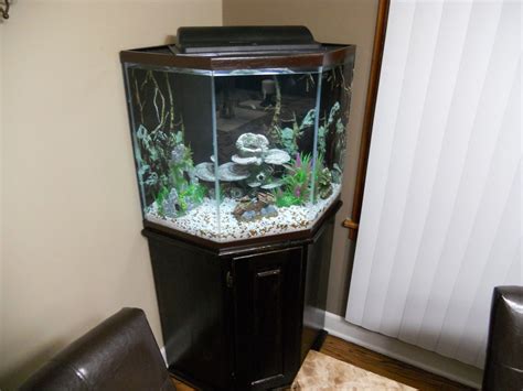 Pet parents can find everything they need to create the perfect habitat for their fish at PetSmart. . Fish tank sale near me